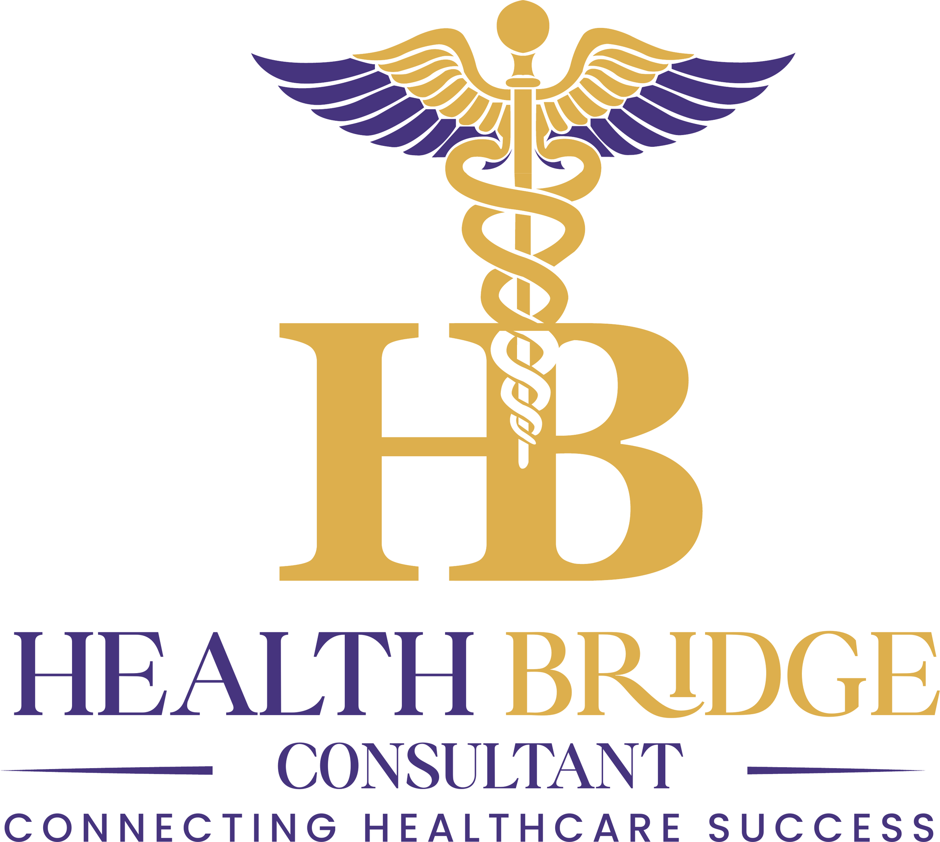 SOMALI HEALTHBRIDGE CONSULTANT